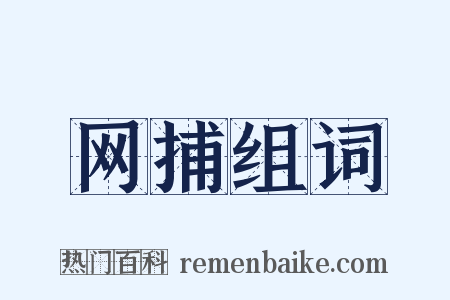 网捕组词是什么意思的图片